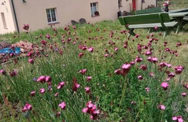 Agroturystyka Jak Makiem Zasiał Dworki 10 - Foto 45