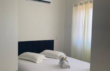 Ape Buffon - Foto 21