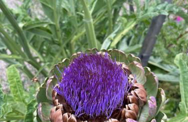 Homestead With Pool And Hot Tub - Wine Tastings Included - Foto 65