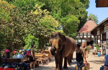 Tierpark Entdeckerhäuser - Foto 19