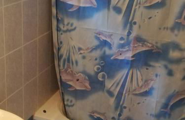 Anestis Studios - Foto 43