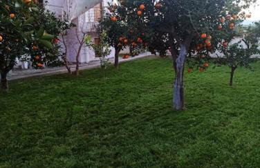 Villa Evans - Foto 27