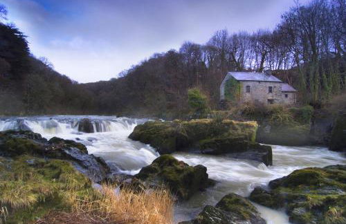 Cinnamon Cottage Newcastle Emlyn - Photo 11