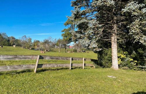 Allgäuer Chalet - Foto 15