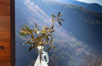 La Sittelle - Foto 14