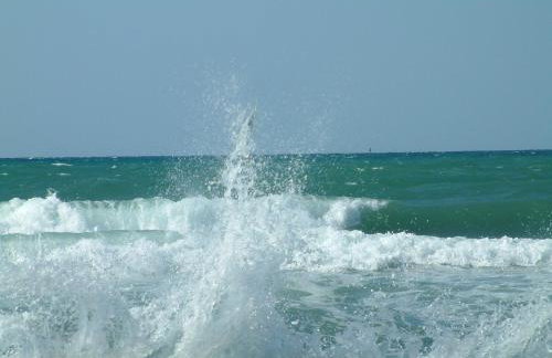 App Sorgo - Photo 48