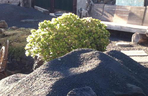 La Finca Uga - Photo 19