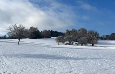 Casa da Peppe Schöne Auszeit im Schwarzwald - Foto 29