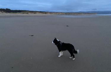 Pen llyn holiday cottages and caravan - Foto 16