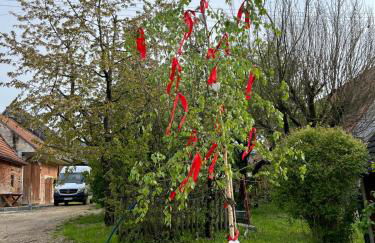 Landhaus 1868 - Foto 10