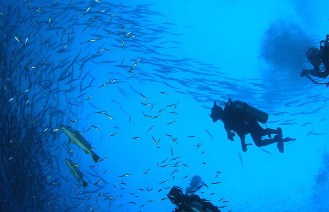 Immersione per principianti a Salou - Foto 7