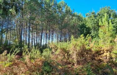 La Cabane de Sofi Villa Cosy Piscine 8 PERS - Foto 41