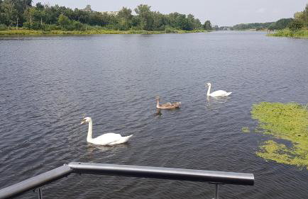 Pływający Dom - Foto 23