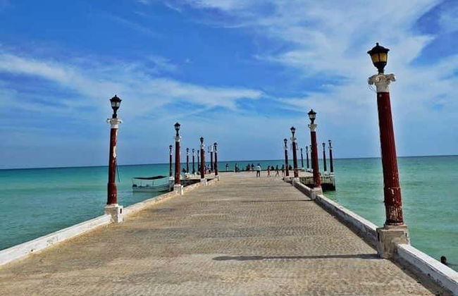 Sisal & Celestún Tour - Photo 3