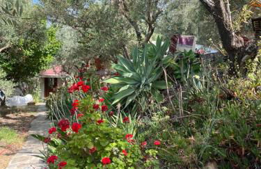 Casa Aziza , le charme andalou - Foto 24