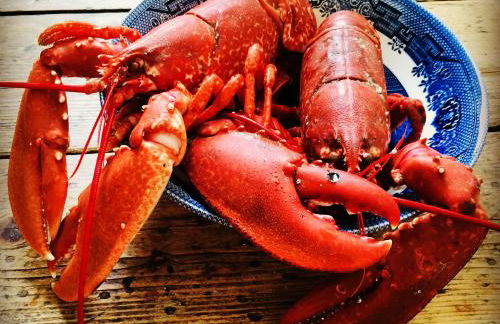 Kirkapol Beach Sleeps 4 With Dog Access - Foto 23