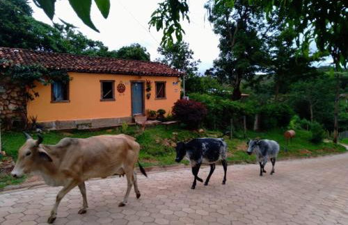 Diamantina, Curralinho Extração - Foto 1