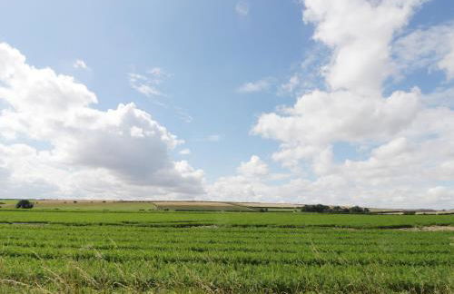 Corner View - Photo 19