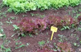 Casa do ti' Marrão - Photo 33