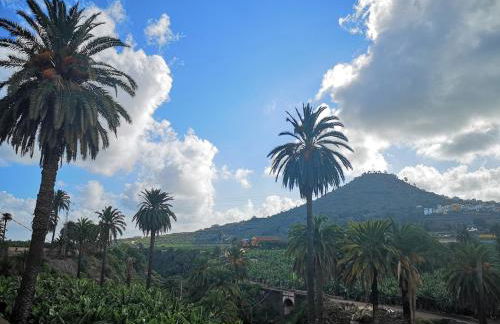 La Hoya, 35 - Foto 15