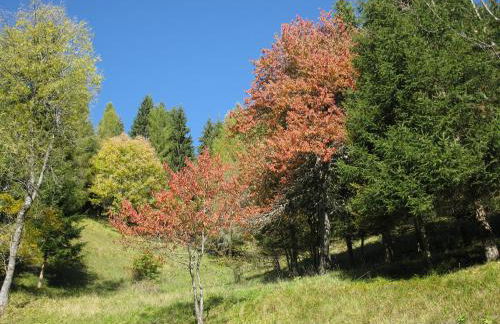 Residence Molin - Foto 51