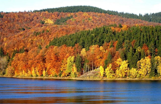 Charmante Harzer Doppelhaushalfte - Foto 25