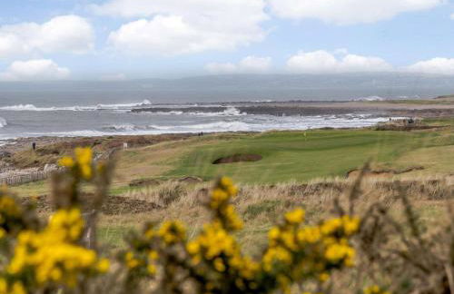 The Sandpiper's Pearl - Foto 14