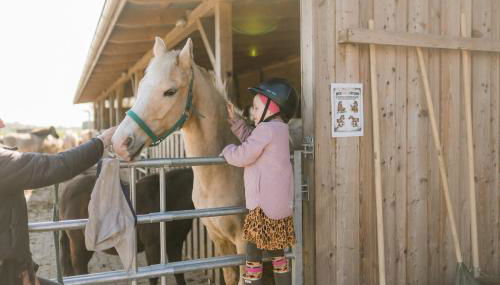 Büdlfarm - Der Familien-Erlebnishof in Strandnähe - Foto 3