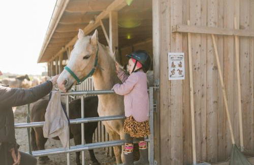 Büdlfarm - Der Familien-Erlebnishof in Strandnähe - Foto 3
