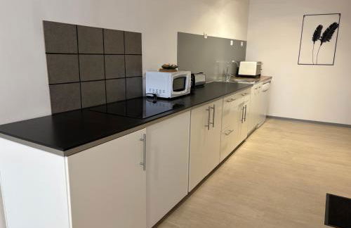 Appartement centre-ville Langogne 2 chambres 6 personnes Parking proche - Foto 3