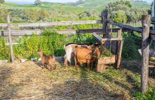 Agriturismo Fassi - Foto 44