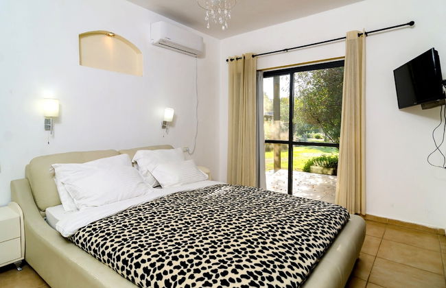 Nofey Habashan - Foto 42