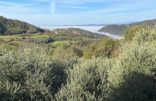 Agriturismo Ai Gradoni - Foto 4