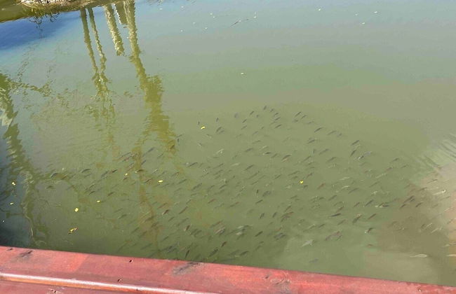 Casa de Campo de Alto Padrão - Foto 28