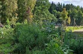 Ferienhaus Gut Haselbach im Erzgebirge - Foto 43