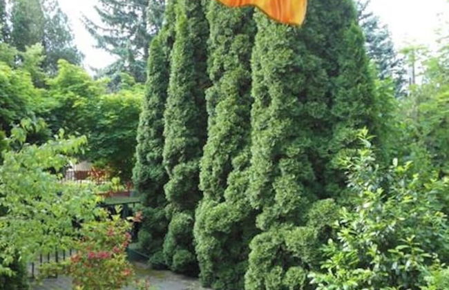 Cozy Family Cottage at the Lake Balaton - Foto 42