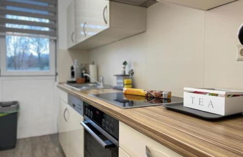 Design Terrassenwohnung - Foto 2