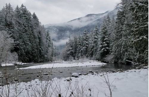 Cascade River Bungalow in the North Cascades - Foto 7