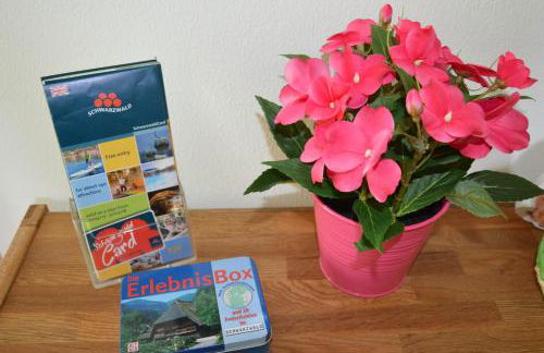 Ferienwohnungen Am Brunnen - Nähe Europapark, W-LAN, Klimaanlage - Foto 38