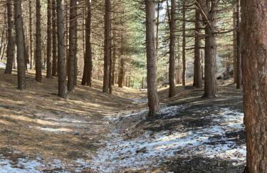 Lavica Di Mezzo Apartments - Foto 78