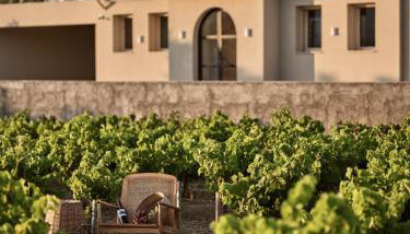 Uvetta Villas - Foto 3