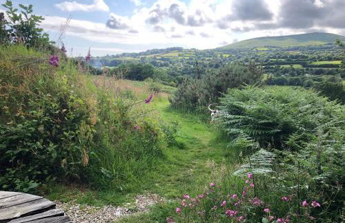 FoxesDen, Unique Eco Cabin, Dartmoor views - Foto 19
