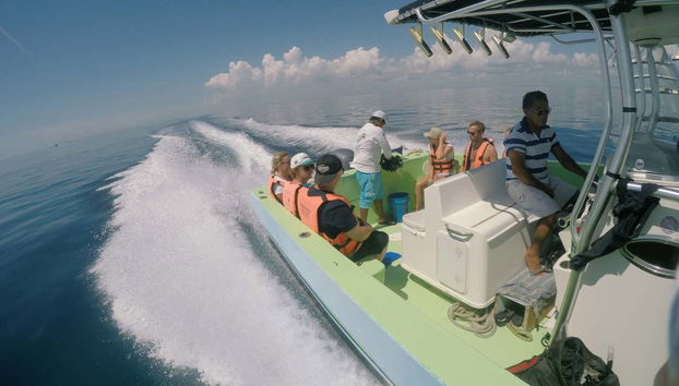 Swimming with Whale Sharks - Foto 4