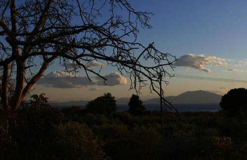 Art Villa Pelion - Foto 25