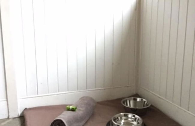 Bamff Ecotourism - Foto 19