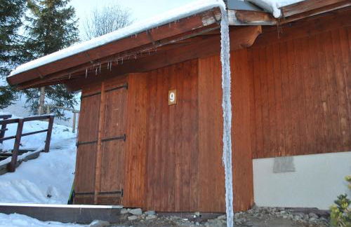 Chalet La Plagne Montalbert 50m des pistes - Foto 3