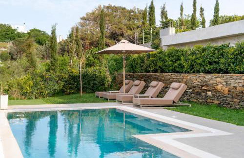 Suite Home Villas with Private Pools by Explore Andros - Foto 55