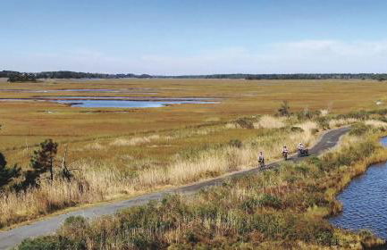 Spacious Private 2BR-2BA I Pool I Garage I Central - Foto 32