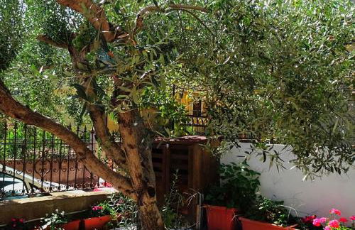 Le Sorgenti Guest House - Foto 20