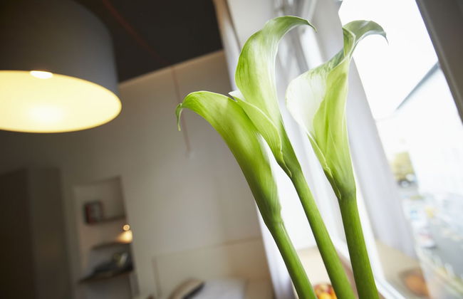 Aparthotel TU-TU - Foto 2